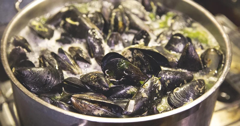 Choisir et préparer le moule