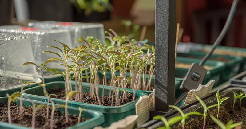 Quoi mettre dans le fond d'un jardin surélevé