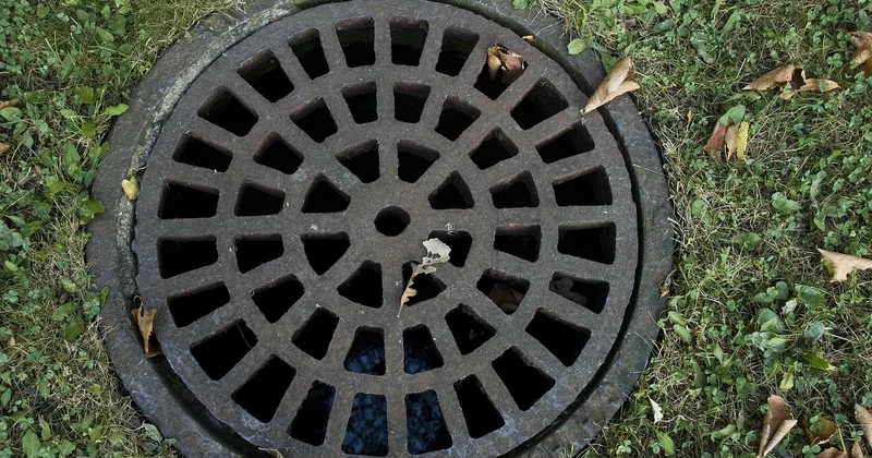 Produits, grilles et prévention : ce qui marche sur la durée