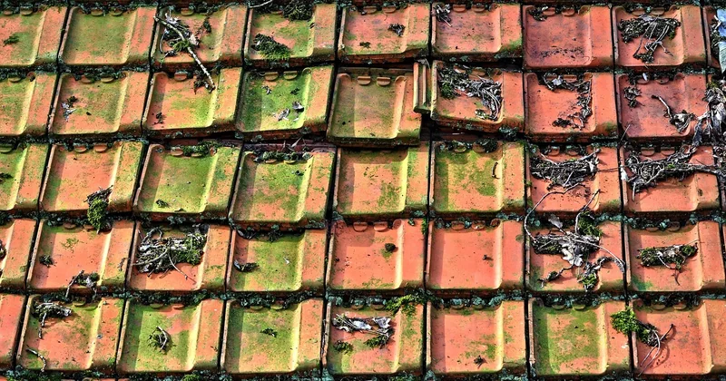 Comment poser des tuiles romanes, plates ou en terre cuite ?
